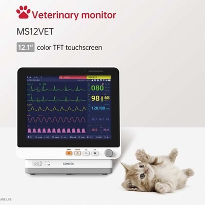 High-Resolution Portable Ultrasound Machine for Dog Pregnancy Examination Veterinary Monitoring Devices for Clinics